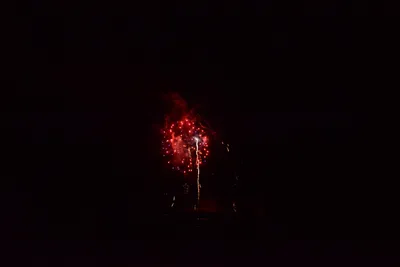 DSC_3415 (Large).JPG